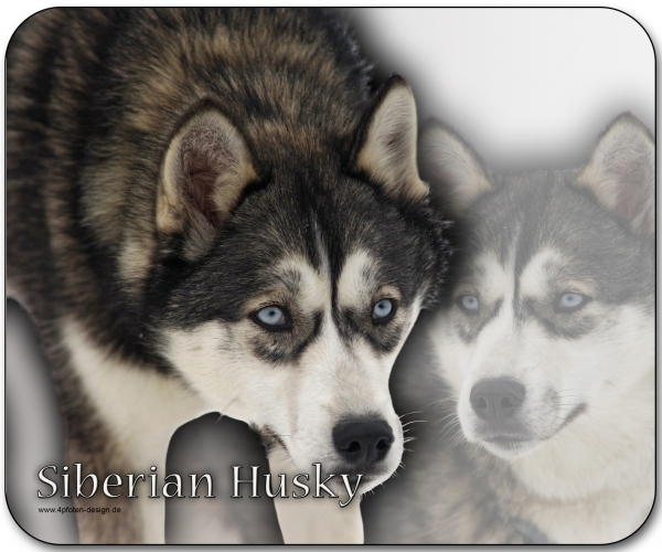 Mousepad Siberian Husky